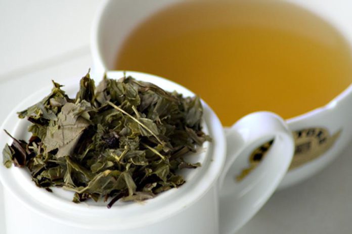 Té blanco: ¿para qué sirve?