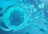 Medicina regenerativa y células madre