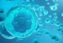 Medicina regenerativa y células madre